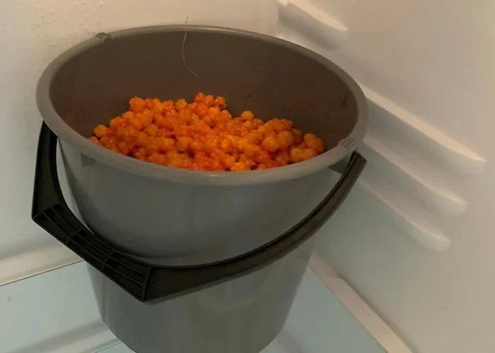 Lomamökit Ossa Tervola